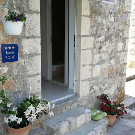 Vendégház Center Olivia 3*
