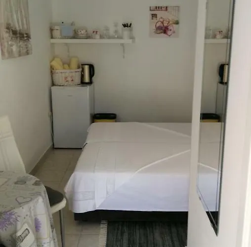 Gæstehus Center Olivia 3*